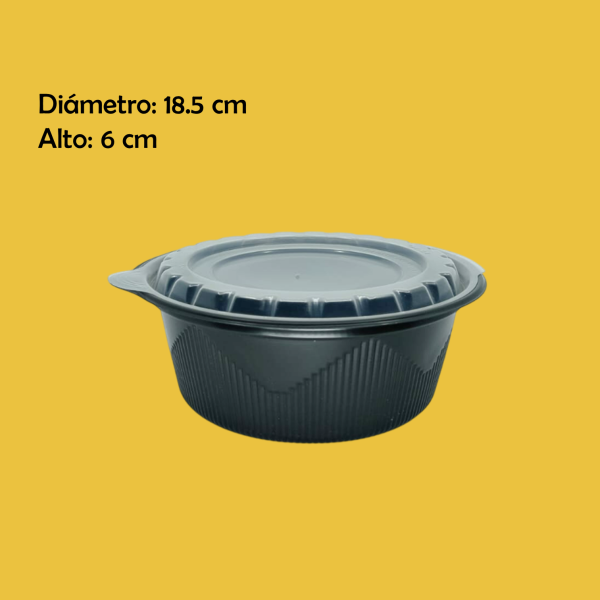 CONTENEDOR HERMETICO C/TAPA 100PZ 18.2X6